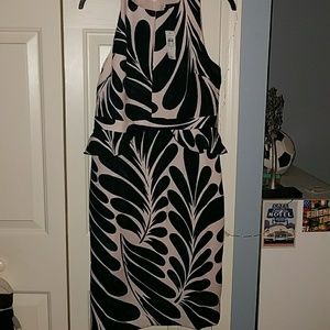 NWT Ann Taylor Factory Dress